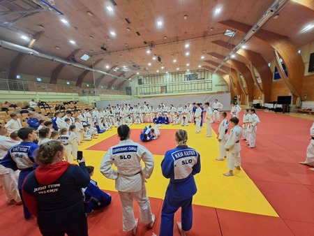 Mednarodni Judo in MMA Camp v Kranjski Gori (5)